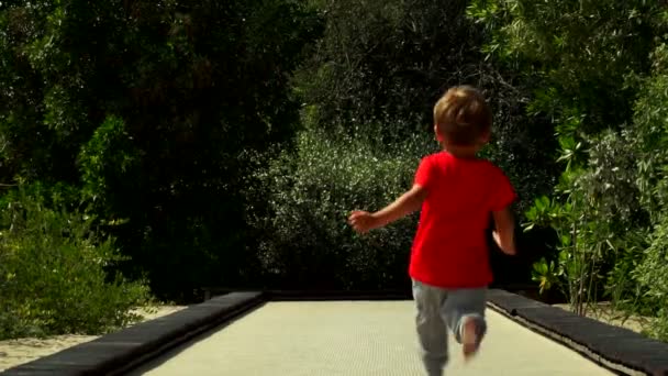有趣的小男孩在公园的蹦床跑道上奔跑跳跃 阿联酋 努尔岛 蝴蝶花园 — 图库视频影像