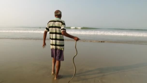 Arambol, Goa, Inde - 30 décembre 2019 : Un pêcheur indien relâche un serpent dans la mer, qui est entré dans le filet — Video