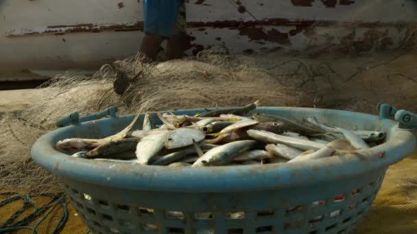 Корзина с уловом индийских рыбаков на берегу у лодки. — стоковое видео