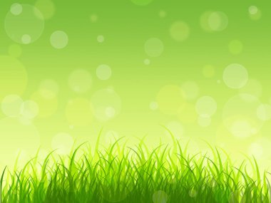 Kavram. Doğa uyanır. Bahar arka plan. Genç Yeşiller.