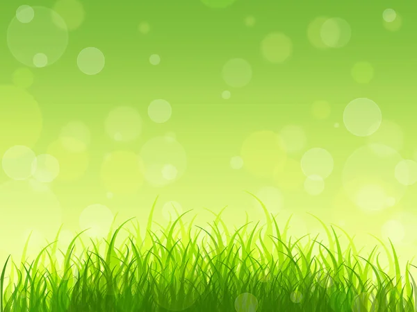 Concept. Nature awakens. Spring background. Young greens. — Stock Photo, Image