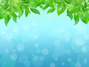 Young leaves on a blue background. Spring background. Summer. Na clipart
