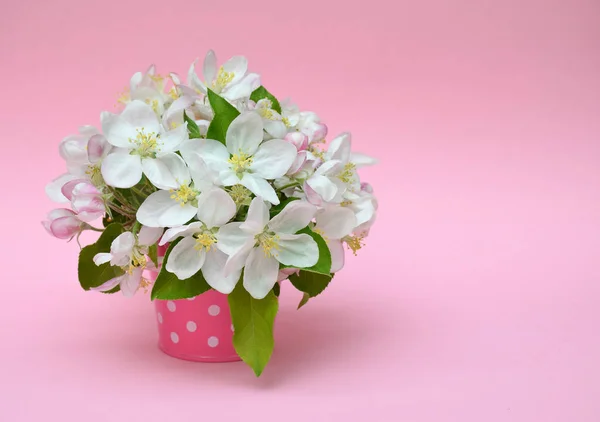 Pembe bir arka plan üzerinde dekoratif küçük kova içinde çiçek açan elma. — Stok fotoğraf