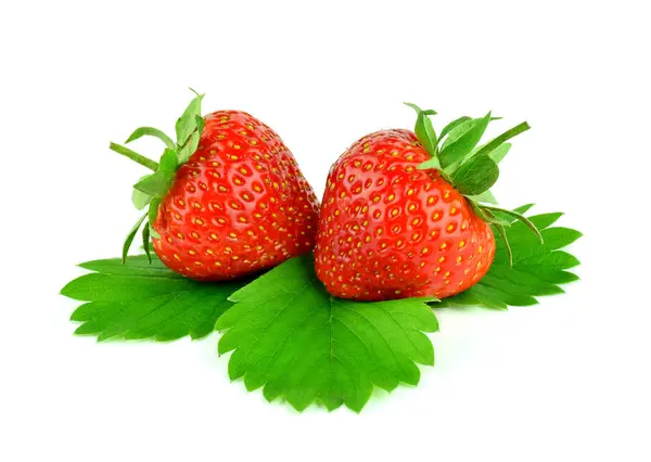 Two strawberry with leaves isolated on white background. — Stock Photo, Image