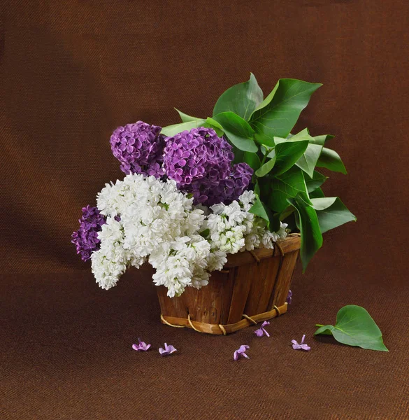 Basket with a branch of lilac flower — Stock Photo, Image