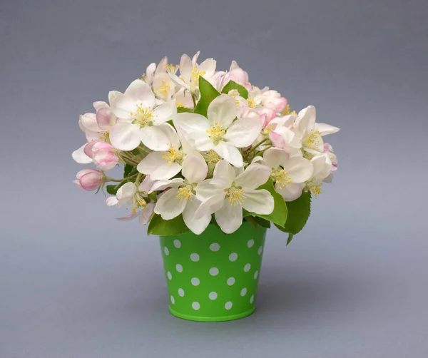 Bouquet of apple blossom in the bucket. Spring. Wedding. Card. — Stock Photo, Image