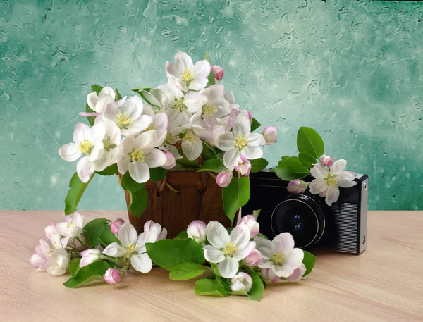 Old retro camera and blossoming apple tree. Nostalgia. — Stock Photo, Image