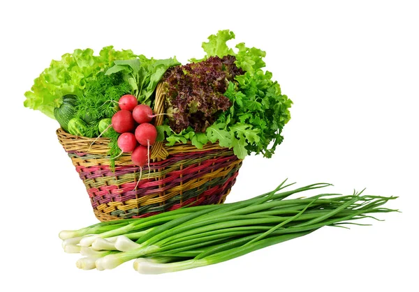 Cosecha de verduras y hierbas frescas de primavera en una canasta . —  Fotos de Stock