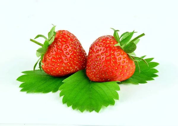 Zwei Erdbeeren mit Blättern isoliert auf weißem Hintergrund. — Stockfoto