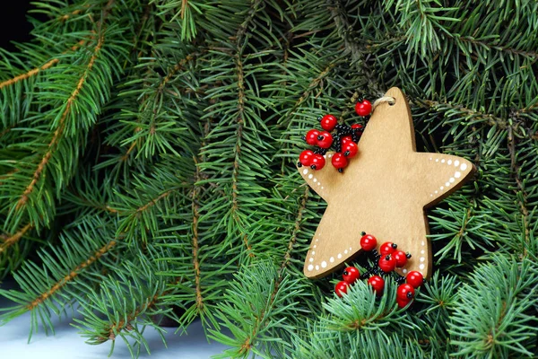 Рождественская звезда на елке. Символ надежды . — стоковое фото