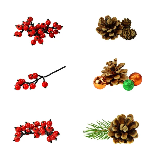 Set Dekorasyonu. Koniler, kırmızı meyveler, Noel ağaçları dallarını. — Stok fotoğraf