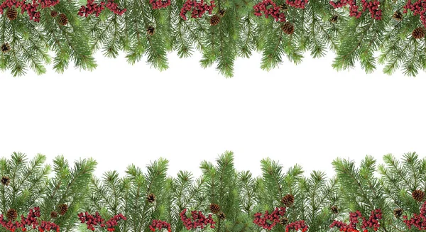 Wide festive pattern. Christmas tree, cones and red berries. Iso — Stock Photo, Image