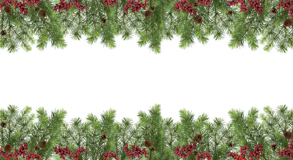 Weites festliches Muster. Weihnachtsbaum, Zapfen und rote Beeren. iso — Stockfoto