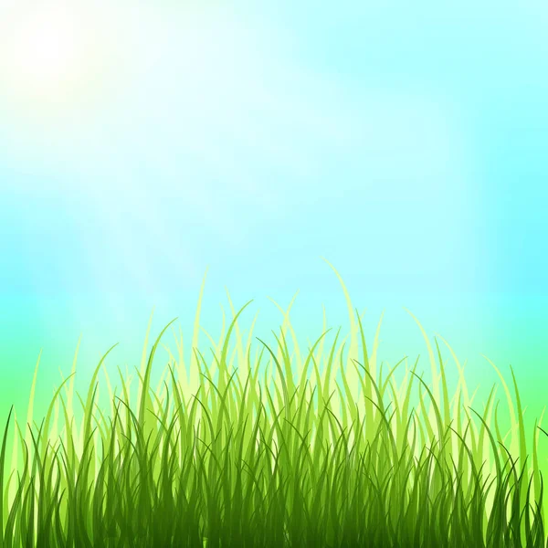 Fond printanier. Journée ensoleillée. Jeune herbe . — Photo