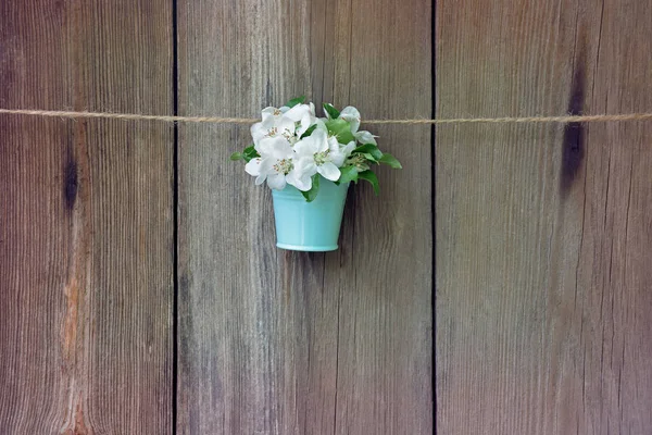 Los manzanos florecen en un cubo sobre un fondo de madera . — Foto de Stock