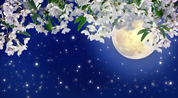 Beautiful spring night in the cherry orchard. The stars and the moon on a dark blue night sky. Romance. Relax. Lovely season.
