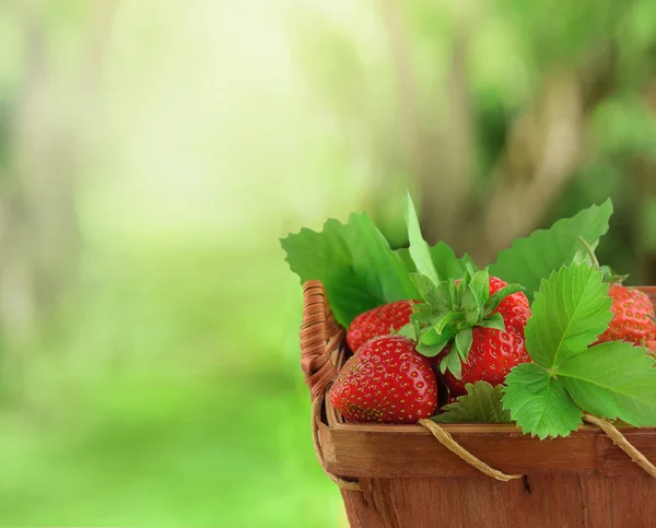 Basket of ripe strawberries. Natural vitamins. Season. — Stock Photo, Image