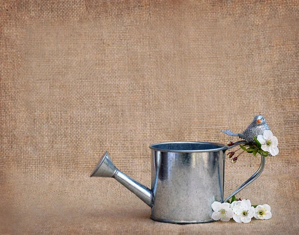 Blooming cherry, garden tools and a bird. Spring background. — Stock Photo, Image