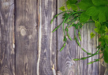 Taze lahanası ahşap arka plan üzerinde yapraklarla şerbetçiotu. Brewin