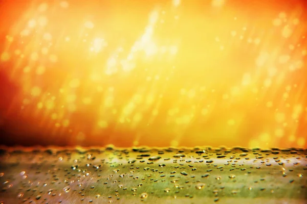 Regentropfen fallen in die Strahlen des Sonnenuntergangs. schöner Sturm. s — Stockfoto