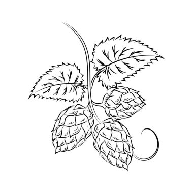 Beyaz bir arka plan olmadan bir gölge atlama sayısının Isolated Şubesi.