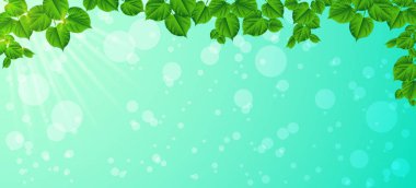 Bir bahar sabahı tazelik. Yakın çekim yaprak. Doğal backgroud, vektör çizim.