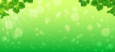 Bir bahar sabahı tazelik. Yakın çekim yaprak. Doğal backgroud. Vektör çizim.