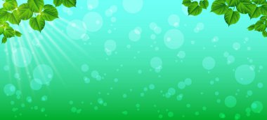 Bir bahar sabahı tazelik. Yakın çekim yaprak. Doğal backgrou