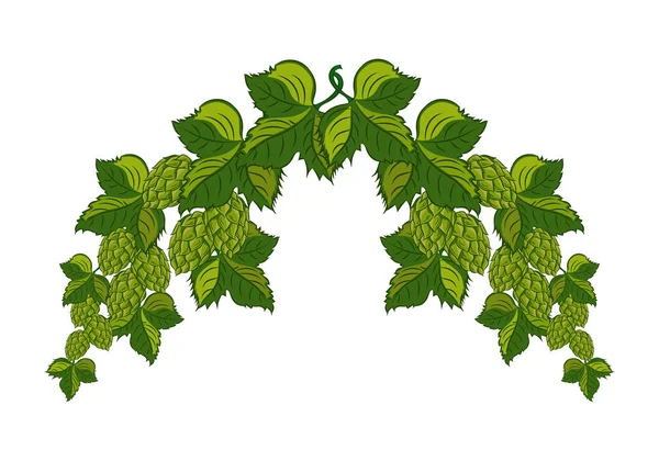 Long garland of hops with leaves and cones, isolated. — Stock Vector