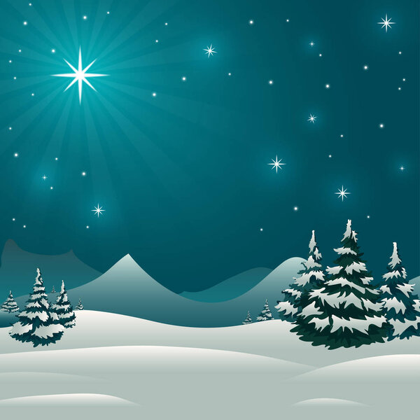 Christmas star. Forest in the snow. Winter in the forest. Snowst