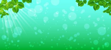 Bir bahar sabahı tazelik. Yakın çekim yaprak. Doğal backgrou