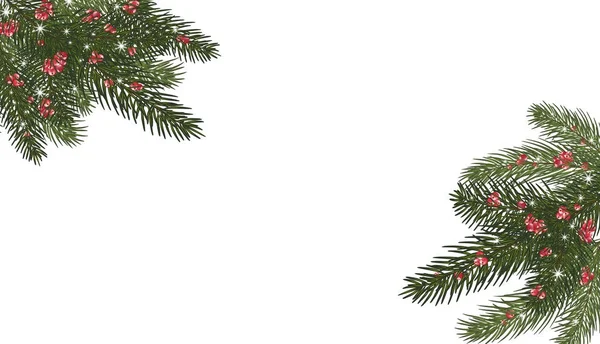 Julgranar, isolerade. Julgranar och röda grenar — Stockfoto