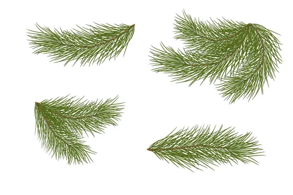 Vector illustration. Eps 10.Set of pine branches for festive dec — Stock Vector