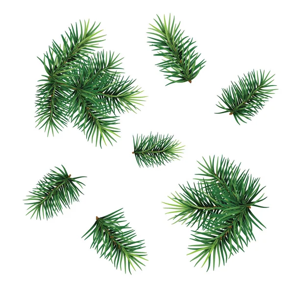 Σύνολο: fir-δέντρο κλαδιά για εορταστικό σχέδιο. Γκρο πλαν. Απομονωμένη. — Φωτογραφία Αρχείου