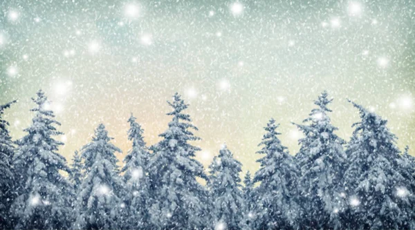 Размытый естественный фон. Зима в лесу. Снегопад. Chri — стоковое фото