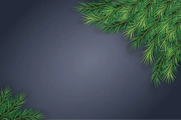 Ramos de árvore de Natal em um fundo escuro. Natureza festiva bac — Fotografia de Stock