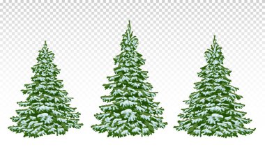  güzel Noel ağaçları kar kümesi. Noel. Kış