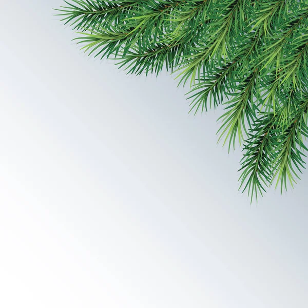 冷杉树分支-节日设计。特写.孤立.圣诞 — 图库矢量图片