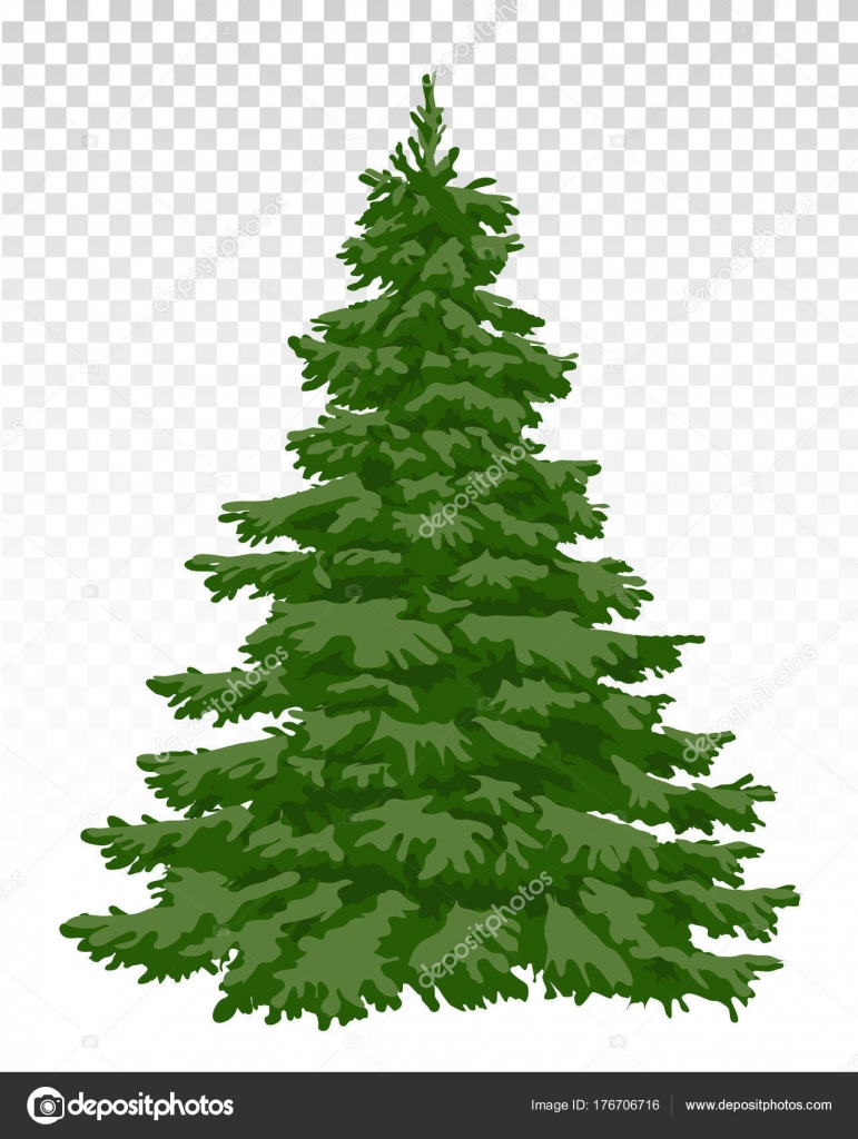 Hermoso árbol de Navidad. Navidad. El invierno. Naturaleza en detalles .  Vector de stock #176706716 de ©fosonya, image size:771x1024