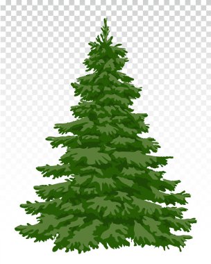 güzel Noel ağacı. Noel. Kış. Ayrıntılar doğada. 