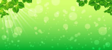 Bir bahar sabahı tazelik. Yakın çekim yaprak. Doğal backgrou