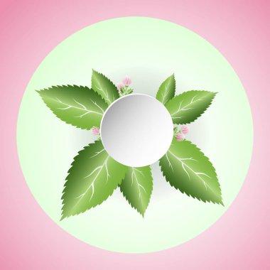 taze yeşil yaprakları ve pembe çiçekler. Spa ile bahar kompozisyon