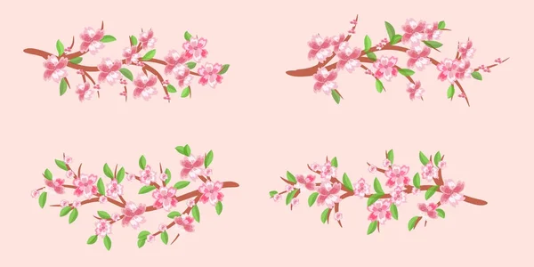 Uppsättning av körsbär grenar i blom. Körsbärsblommor. Våren. — Stockfoto