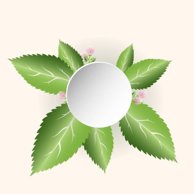 taze yeşil yaprakları ve pembe çiçekler. Spa ile bahar kompozisyon