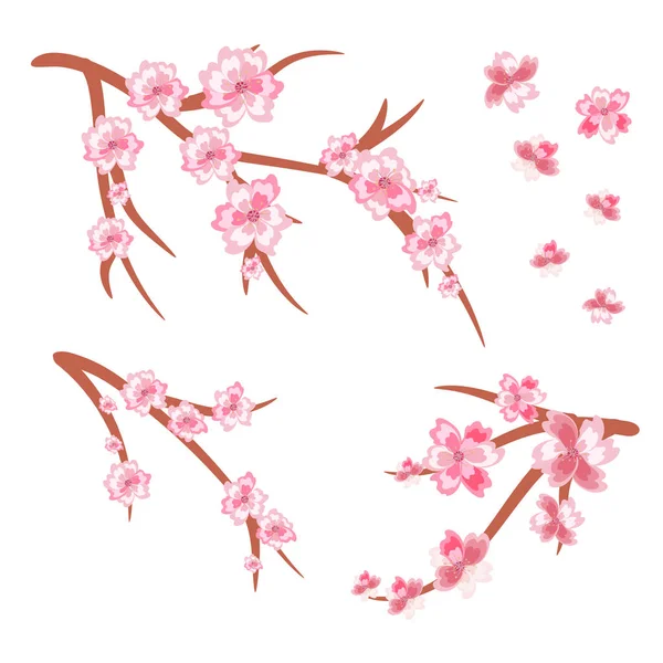 Ensemble de branches de cerisier en fleurs. Des cerisiers en fleurs. Ressort. Vecteur — Image vectorielle