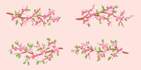 Sada cherry poboček v květu. Třešňové květy. Spring.Vector — Stockový vektor