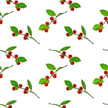 Çeviri: nazo82 Shagrathian