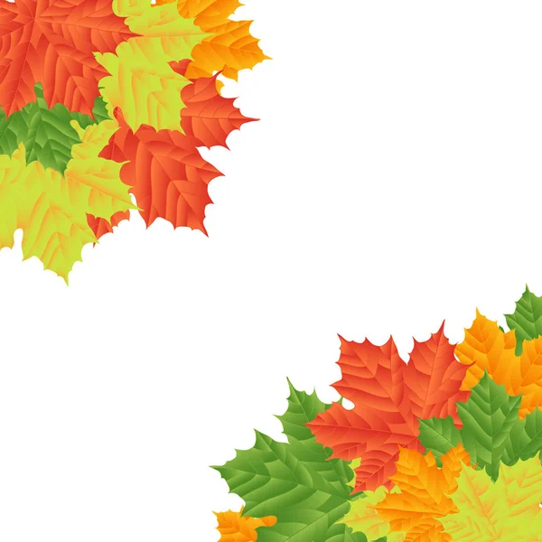 Hojas de otoño sobre fondo blanco. Aislado. Vector illustrati — Vector de stock