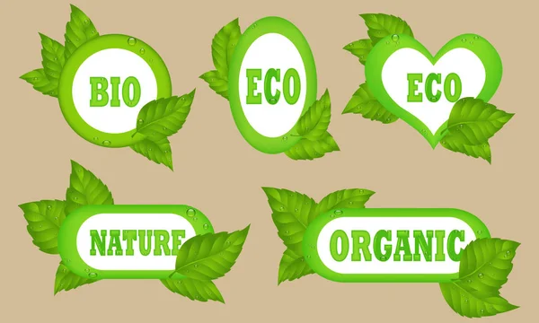 Eco food, organic bio products, eco friendly, vegan icons, ecolo