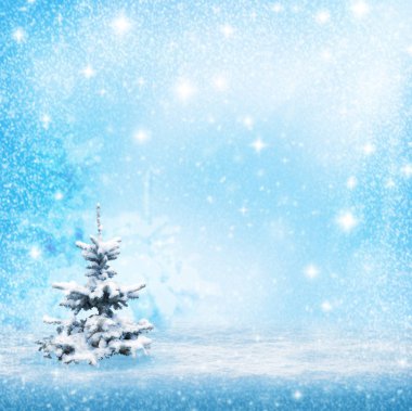 Karla kaplı Noel ağaçlarının manzarası. Mavi gökyüzü kar taneleri 